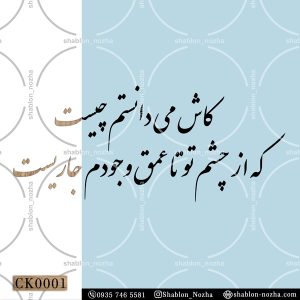 کاش می دانستم چیست که از چشم تو تا عمق وجودم جاریست